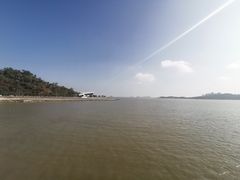 -野狸岛