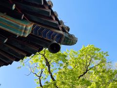 -潭柘寺景区