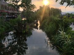 -万景饭店·鱼街农家菜