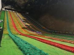 -梦幻奥陶纪景区