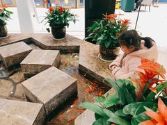 -君安凯莱大酒店