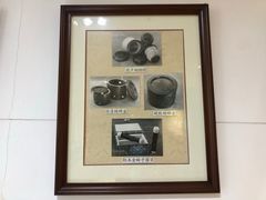 -上海昆虫博物馆