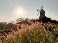 -海花岛旅游度假区