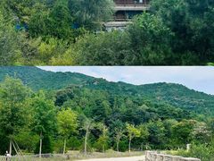 -北京西山国家森林公园