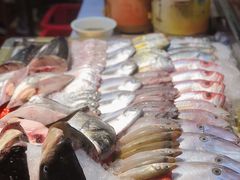 -揭阳钟记小食(福田新村店)