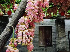 -大雁山风景区