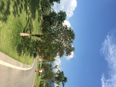 西昌邛海湾柏栎度假酒店-西昌邛海湾柏樾酒店(原邛海湾柏栎度假酒店)