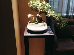-名岛家宴(龙塔店)