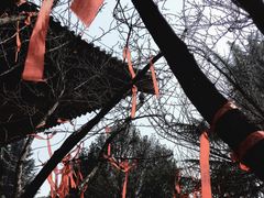 -西安青龙寺遗址景区