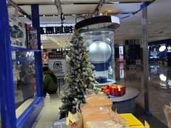 -神盾局密室逃脱(in77店)