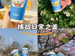 -Something For(鹏润达店)