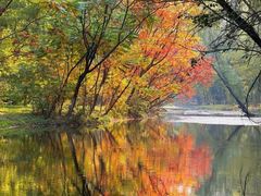 -长白岛森林公园