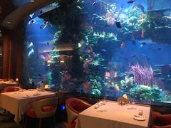-迪拜帆船酒店海底餐厅