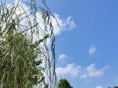 -林丰温泉度假山庄