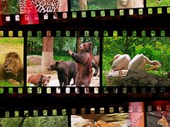 -北京野生动物园