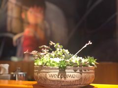 -仓桥家·焗寿司·锅物(光谷步行街店)