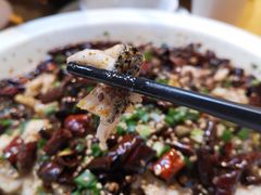 -三猫黑鱼花(南大店)