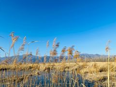 -野鸭湖国家湿地公园