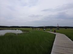 -塞罕坝国家级自然保护区