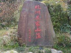 -杭州花家山庄