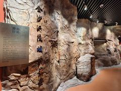 -迪庆藏族自治州博物馆