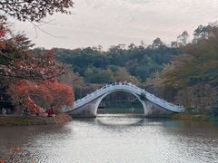-田野绿世界