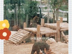 -泉州海丝野生动物世界