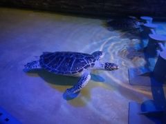 -威海华夏城景区