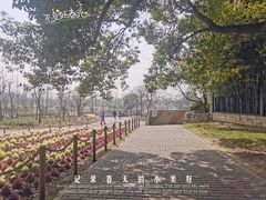 -上海滨江森林公园