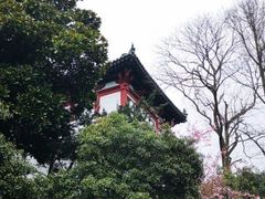 -西湖风景区十里琅珰-五云山