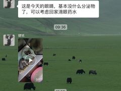-佳佳动物医院
