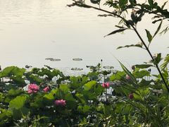 -上海市保健医疗中心(华东疗养院)