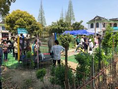 -小鱼草莓采摘园农家乐·小鱼餐厅