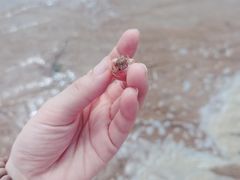 -刘家湾赶海园