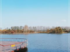 -东郊湿地公园