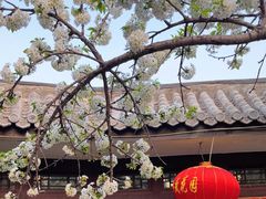 -泓盛花园