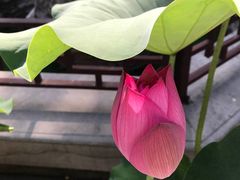 -湘子庙
