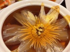 -甄御•海鲜新青岛菜(麦岛店)