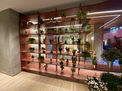 -二酉书店TOYOU BOOKS