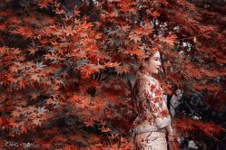 点击看大图 -MANLI BRIDAL婚纱