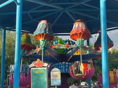 -水上乐园·欢乐世界