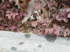 -西南民族大学南区(双流校区)