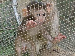 -辛玛王国游乐园