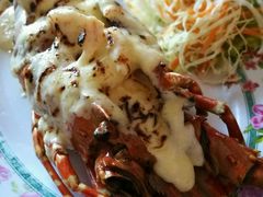 -Red Lobster