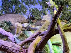 -悉尼海洋生物水族馆