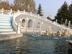 -洛阳郁金香牡丹园