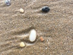 -烟墩角天鹅湖