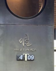 -韩国李知恩形象设计