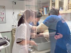 -乐派堂宠物医院·猫友好· 心脏科(东街店)