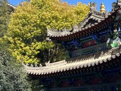 -罔极寺